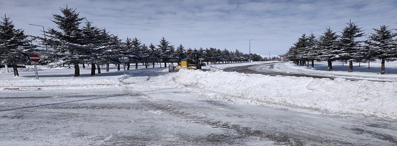ERZURUM HAVALİMANI