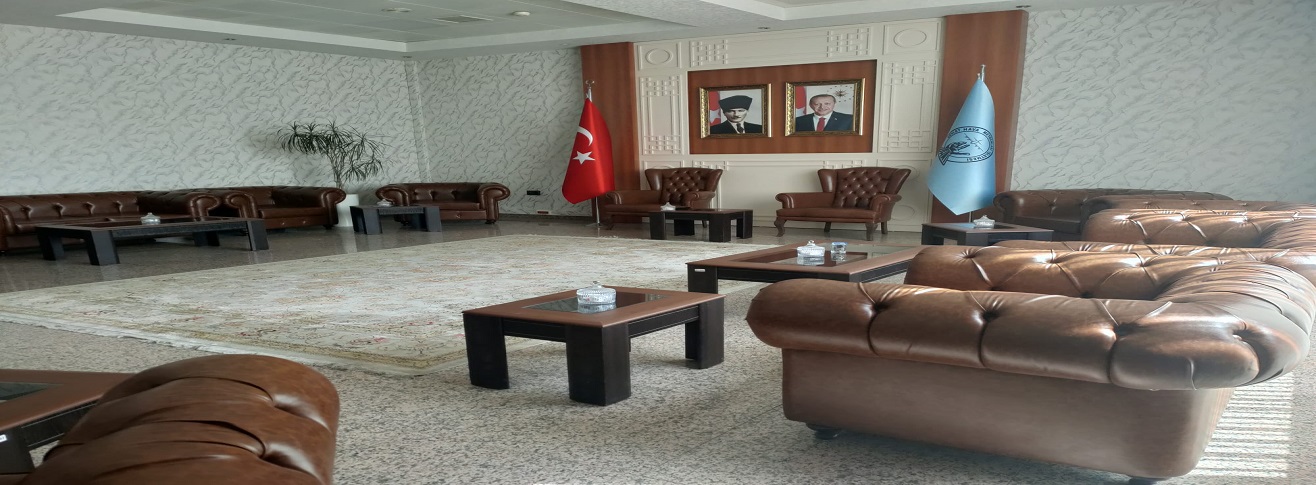 ERZURUM HAVALİMANI