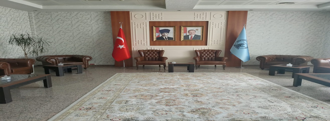ERZURUM HAVALİMANI