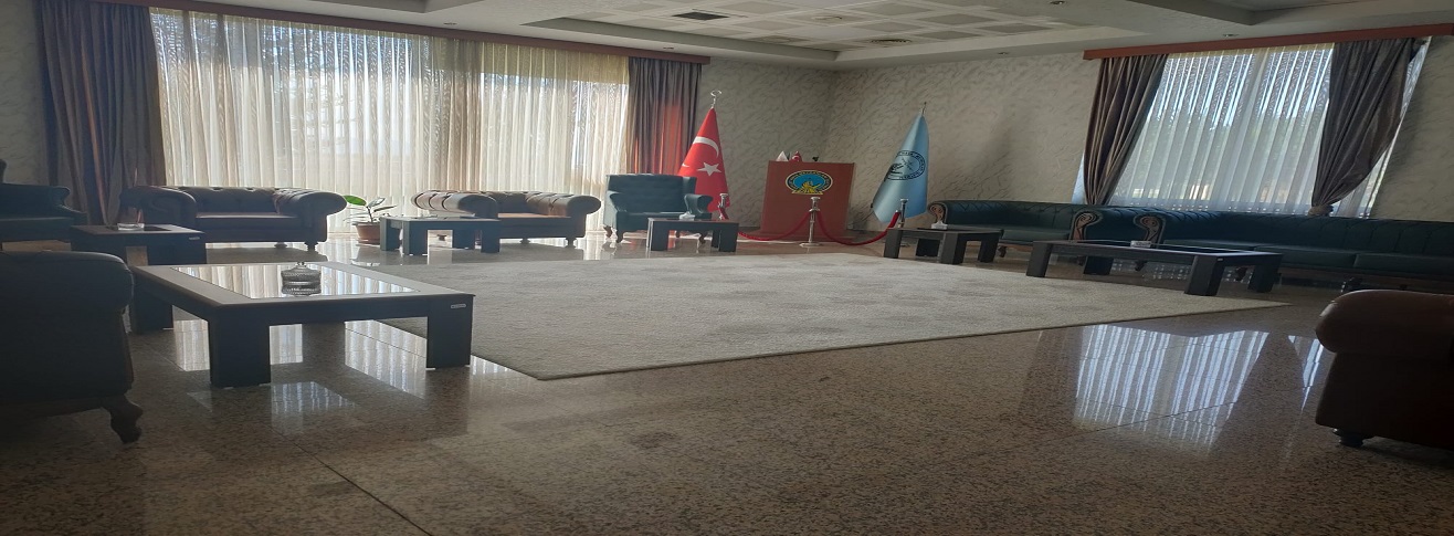 ERZURUM HAVALİMANI