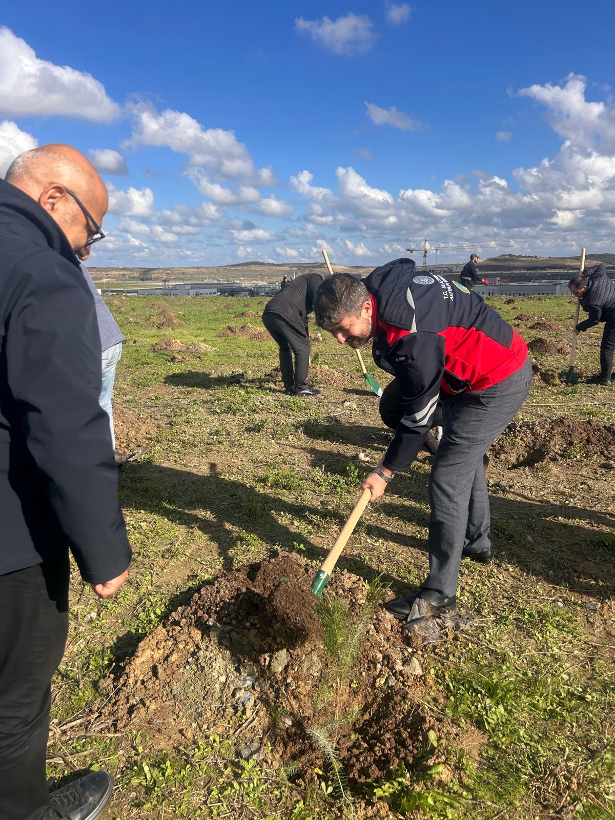Milli Ağaçlandırma Günü